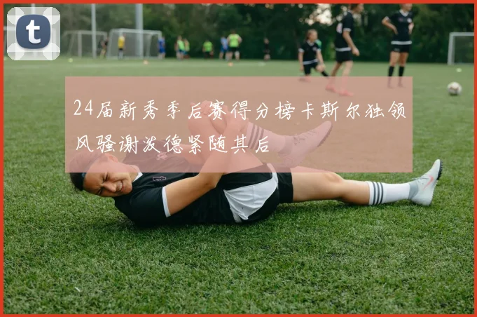 24届新秀季后赛得分榜卡斯尔独领风骚谢泼德紧随其后