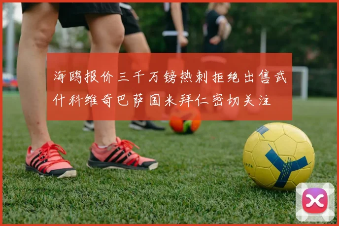 海鸥报价三千万镑热刺拒绝出售武什科维奇巴萨国米拜仁密切关注